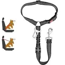 Small dog car seat leash