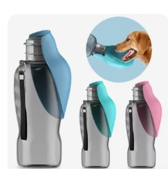 Portable water bottle