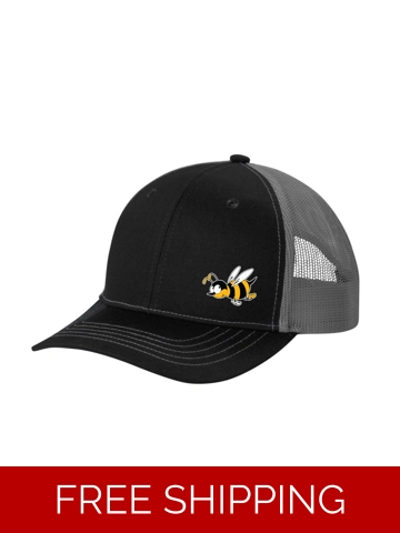 New Stingers Snapback Cap