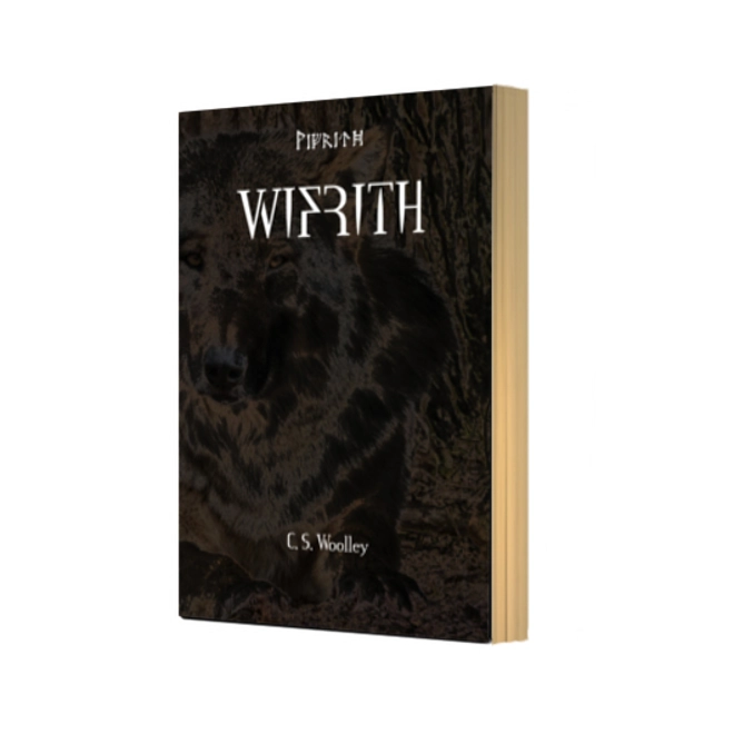 Additional Image for The Children of Ribe Library 17 Book Pack