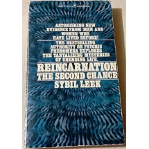 Reincarnation: The Second Ch..
