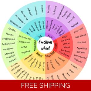 Feelings wheels