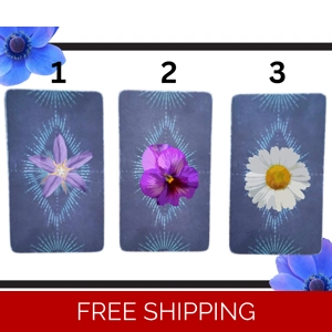 Pick a card: What is coming your way?