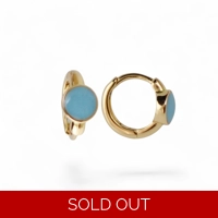 Baby earrings with gold plated ho..