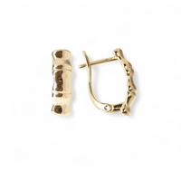 Gold Plated Earrings Gift idea fo..