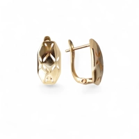 18K Gold Plated Earrings with Gli..