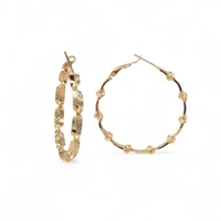 18K Gold Filled Earrings - Large ..