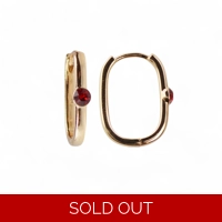 18K Gold Plated Earrings – Celebr..