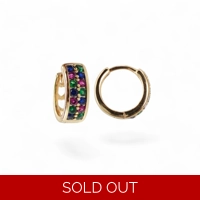 18k Gold Plated Earrings – Celebr..