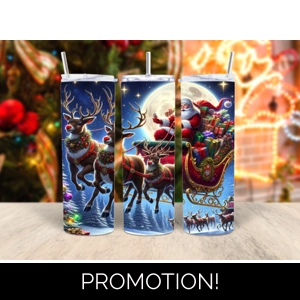 cute santa on sleigh tumbler