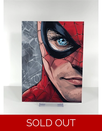 Friendly Neighborhood Spider.. Friendly Neighborhood Spider..
