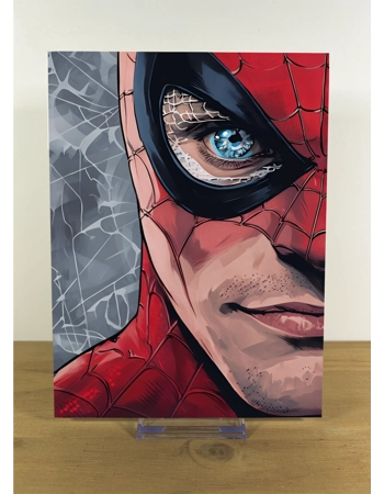 Friendly Neighborhood Spider-Man – 6x8 Metal Print