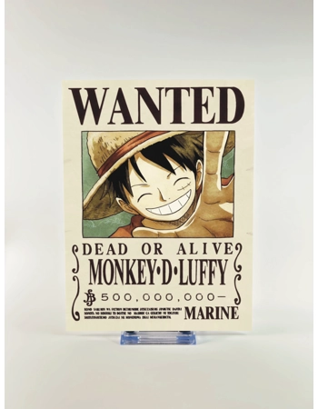 One Piece Wanted Poster..