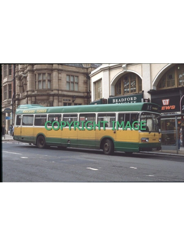 35mm slide Yorkshire Terrier National 1 MOD 855 P ~ 29 Ex Western National 2833