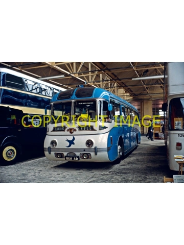 35mm slide Bluebird (Hull) Leyland Royal Tiger / Plaxton NKH 46