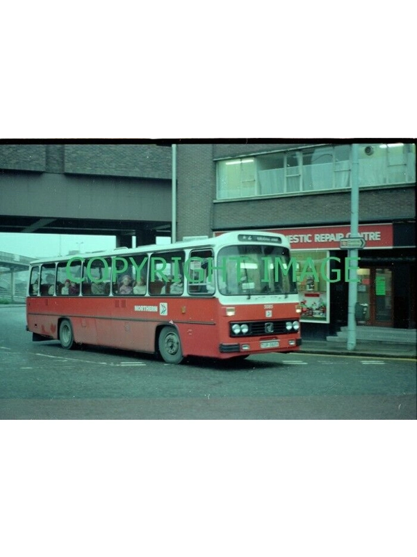 35mm Colour neg Northern Leopard / Willowbrook 003 TUP 585 V ~ 5085