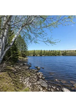 BANCROFT IN MAY