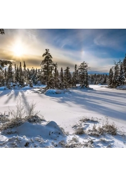 BANCROFT IN FEBRUARY