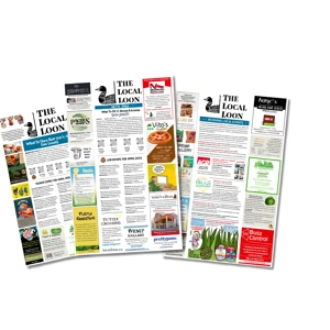 1 unit ad in printed issue of Local Loon - 3 month commitment