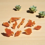 Shredded Chicken 50g