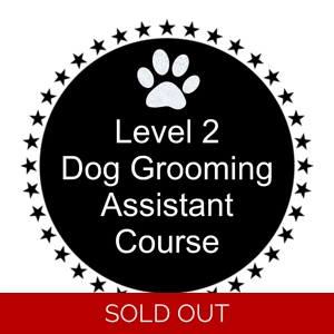 Level 2 Dog Grooming Assistant Course