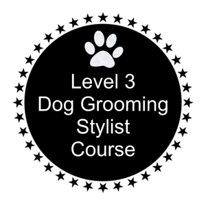 Level 3 Dog Grooming Stylist Course