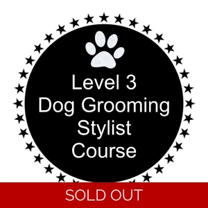 Level 3 Dog Grooming Stylist Course