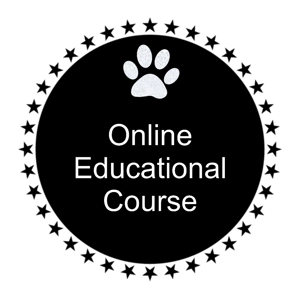 Online Educational Course