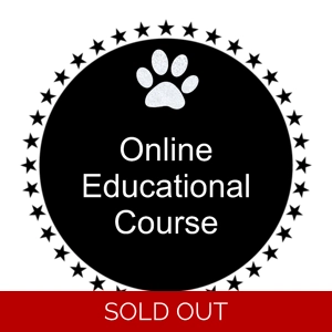 Online Educational Course