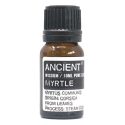 Blueberry Essential Oil 10ml