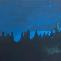 Moonlight Shadows 16 x 20