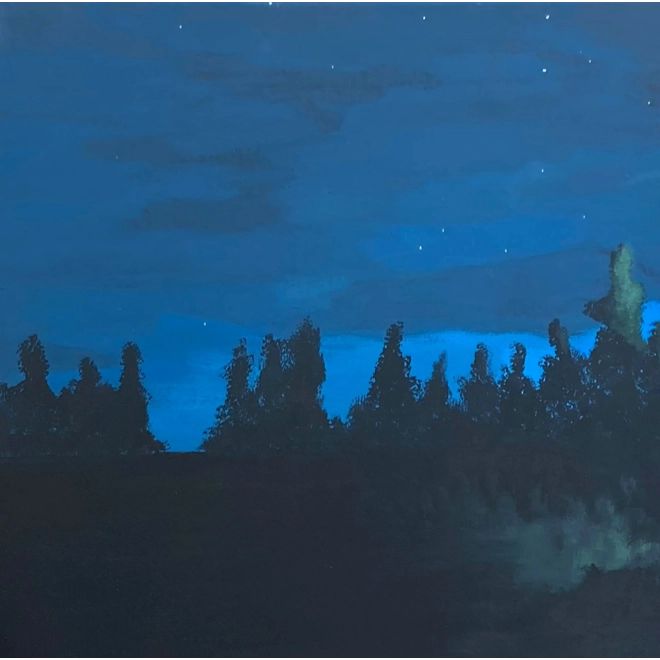 Additional Image for Moonlight Shadows