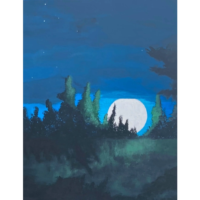 Additional Image for Moonlight Shadows