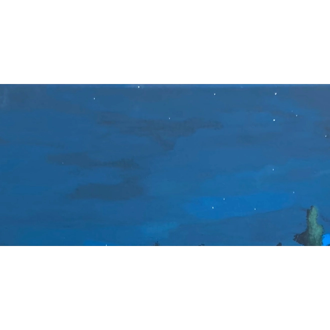 Additional Image for Moonlight Shadows