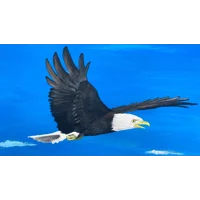 Wings of Freedom 16 x 20