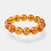 Pressed Amber Charm Bracelet – Ce..