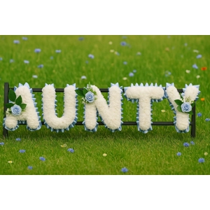 Artificial Aunty Funera..