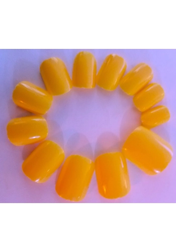 JR Adult Glossy Gel Fin..