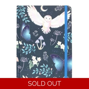 Night Flight Owl A5 Notebook with Gold Foil Lined Pages