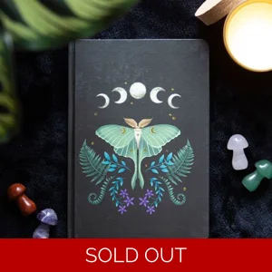 Luna Moth A5 Lined Notebook with Gold Foil Edges