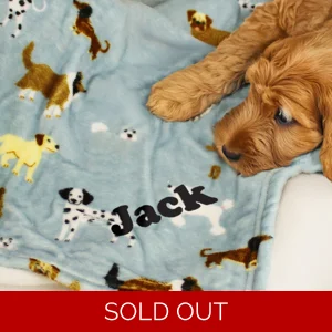 Personalised Dog Paw Print Fleece Blanket with Name 90 x 70 cm