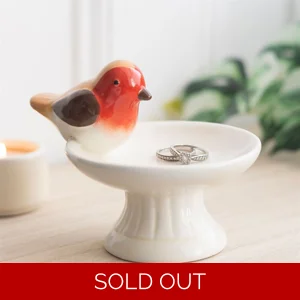 Robin Bird Bath Ceramic Trinket Dish