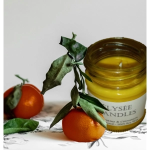Clementine and Cinnamon 100ml Candle