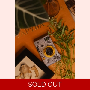 Belomo agat 18 k custom painted film camera
