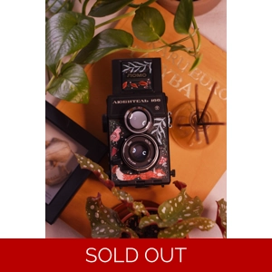 Film camera, camera, analog camera, custom camera, custom film camera, 35 mm, 120 mm, fotokor, medium format, custom painted camera, restored film camera, camera restoration, camera repair , film camera cheap, disposable camera, lubitel, lubitel camera, soviet camera, lubitel 166, lubitel 2, liubitel, buy lubitel camera, best medium format camera, custom lubitel camera