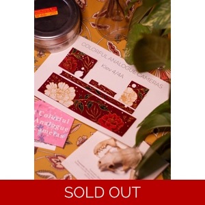 Hand-painted custom replacement leather for Kiev 4/4A film camera, featuring a floral red and gold design, displayed on a printed template with vintage-inspired decor and film photography accessories.