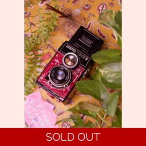 Lubitel 166 custom painted 120 mm film camera / Artfully i..