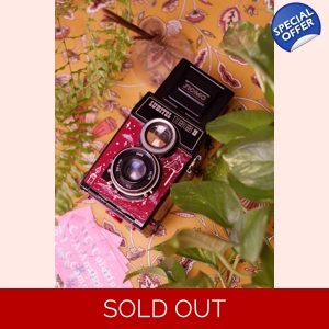 Lubitel 166 custom painted 120 mm film camera / Artfully i..