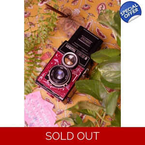 Lubitel 166, medium format, medium format camera, 120 mm, 120 mm film, medium format film, ilford, fomapan, twin lens camera, tlr camera, slr camera, chimney finder, waist level finder, lubitel finder