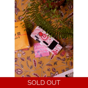 Custom hand-painted Agfamatic 4008 film camera with red motifs